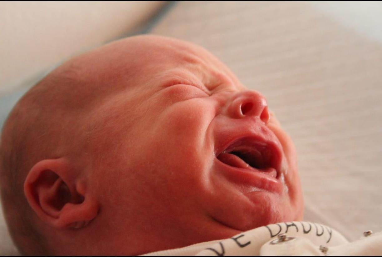 WhatsApp Image 2026-02-17 at 19.18.49 (3)